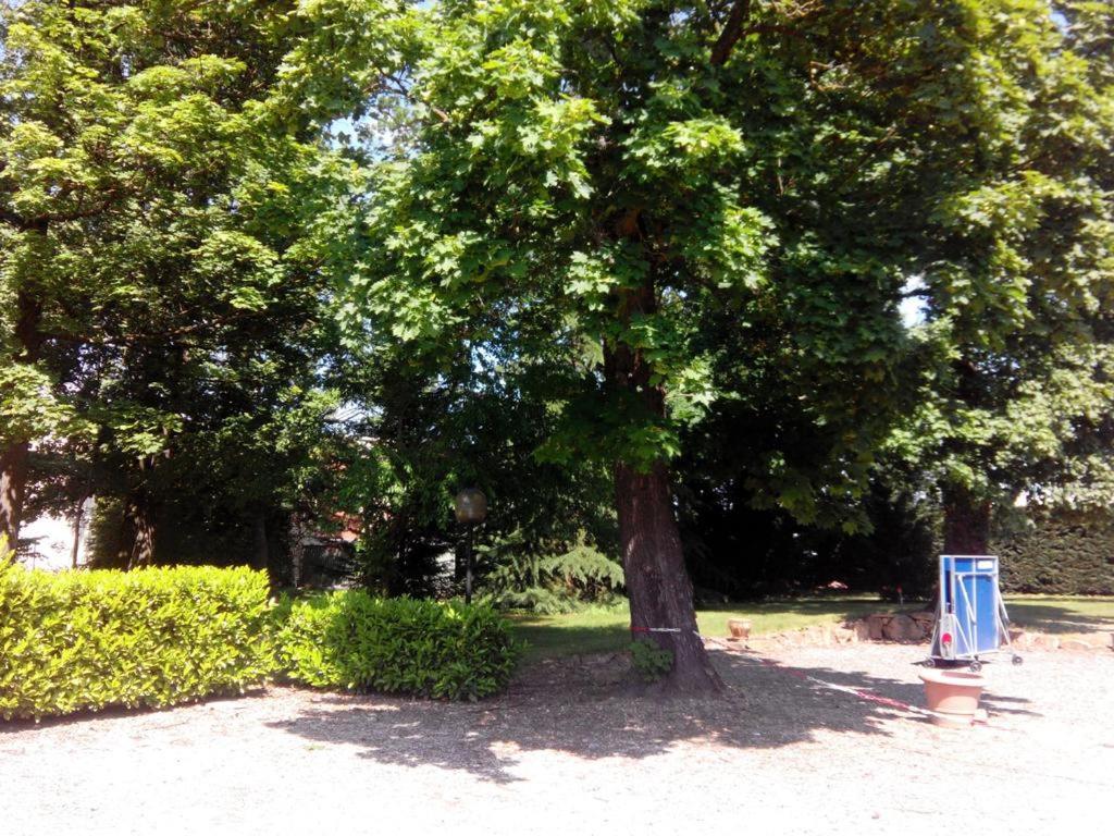 Hotel Etesia Feurs Exterior foto